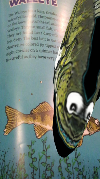 How To Fish AR Screenshot