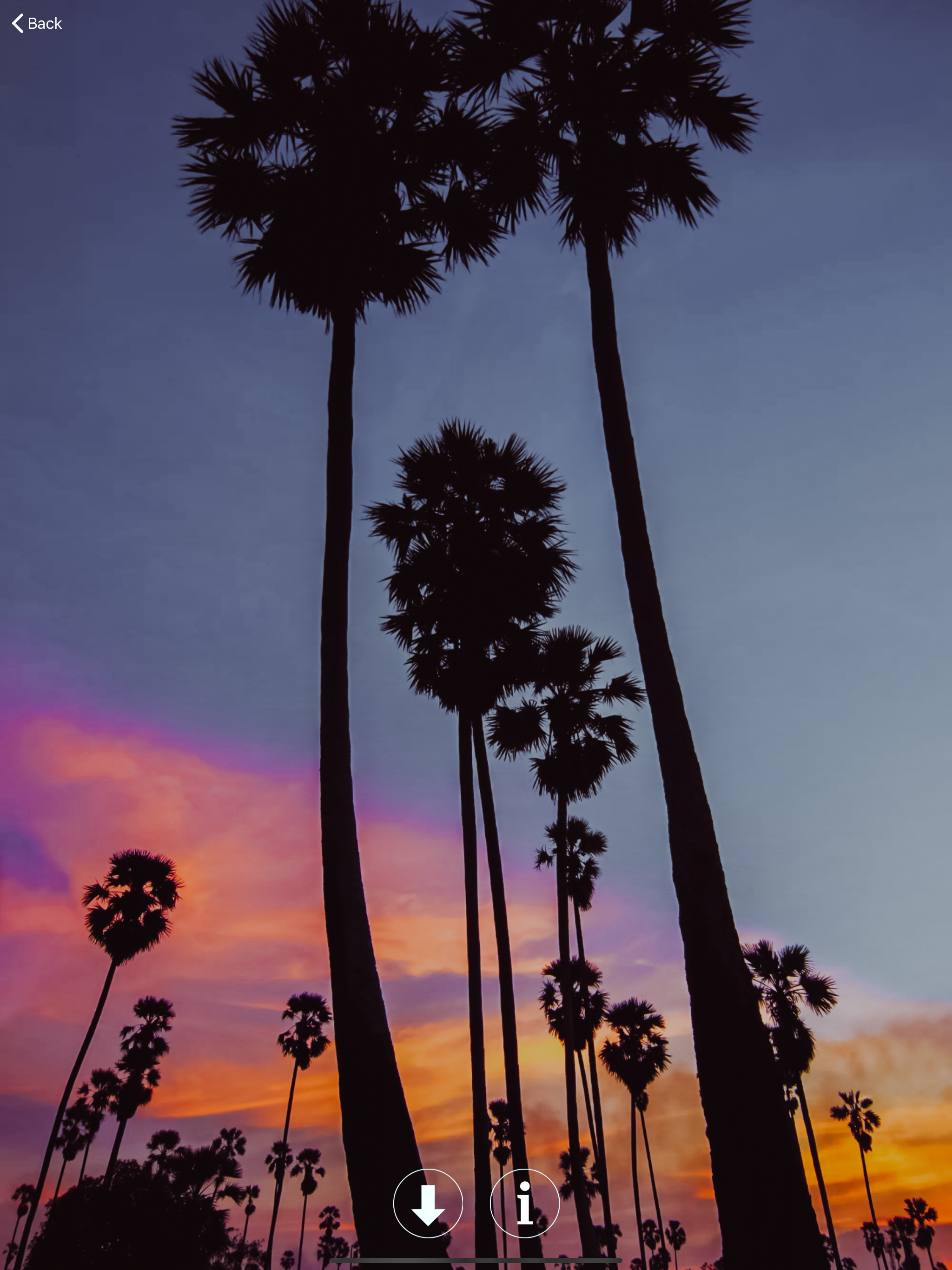 WLPPR - backgrounds wallpapers