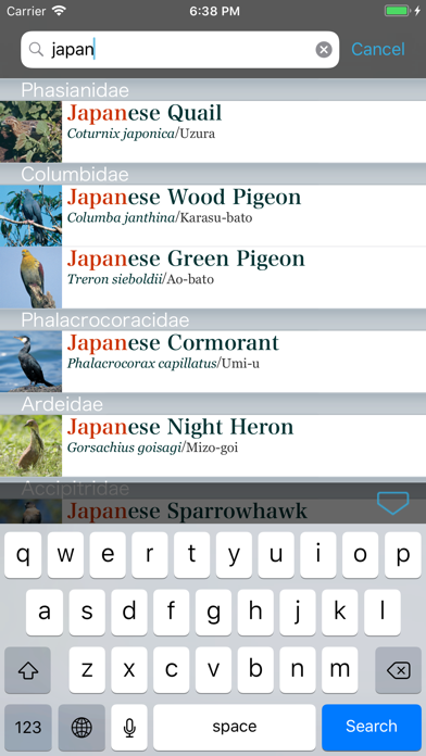 Japanese Birds Screenshot