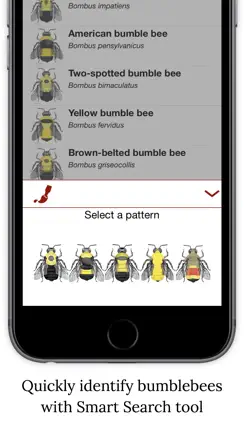 Bumble Bee Watch iPhone image 3