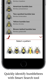 Bumble Bee Watch screenshot