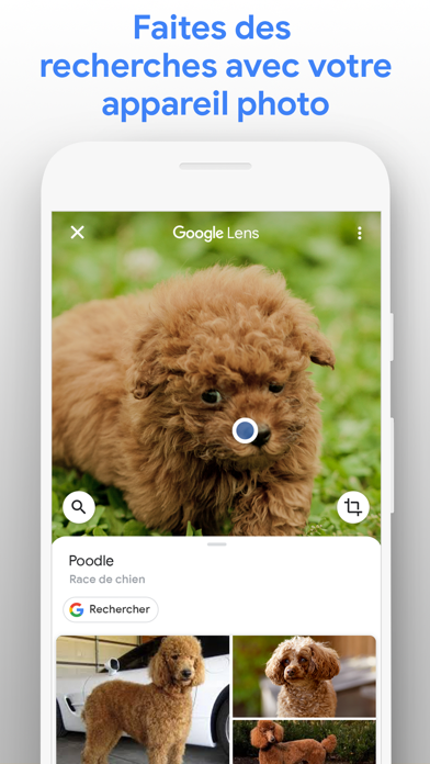 Google Google