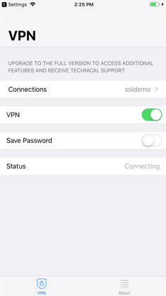 FortiClient VPN screenshot 3