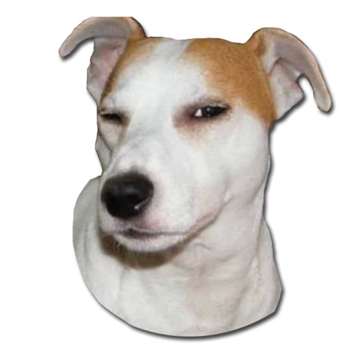 Strange Dogs Sticker Pack Icon