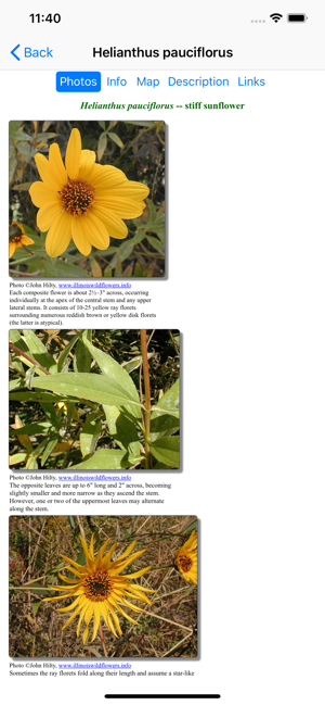 South Dakota Wildflower(圖5)-速報App