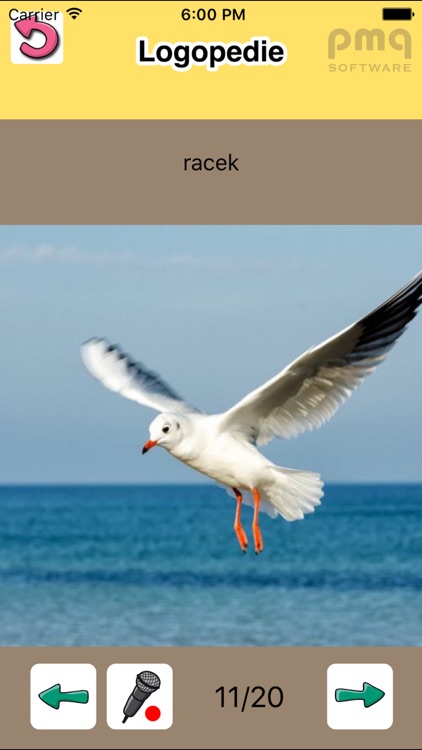 Logopedie, cvičení VPP