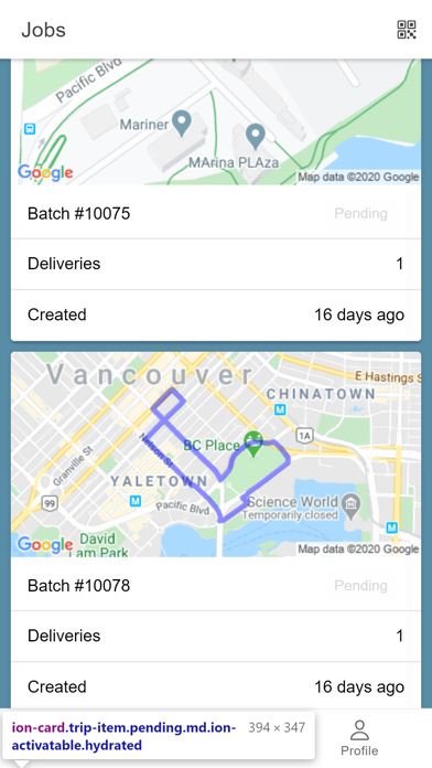 DeliveryBizConnect Driver App Screenshot
