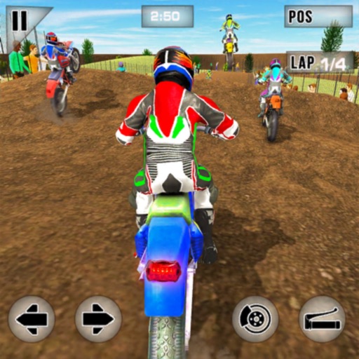 Dirt Track Racing 3d Icon