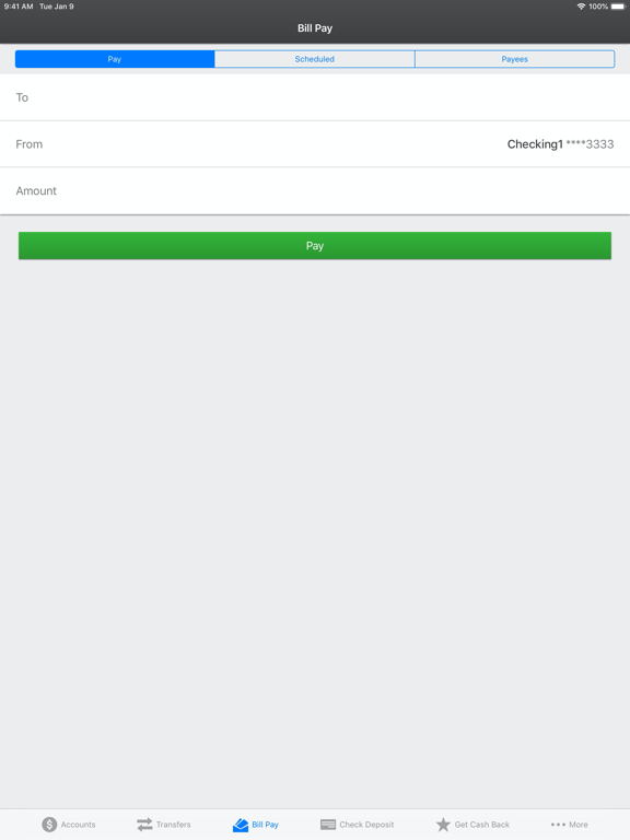 FinWise Bank iPad screenshot 5 - Finance app