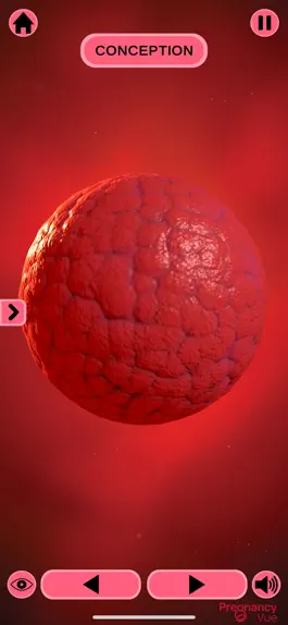 Game screenshot PregnancyVue apk