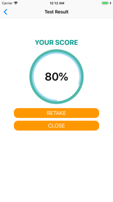 French Grammar Test screenshot