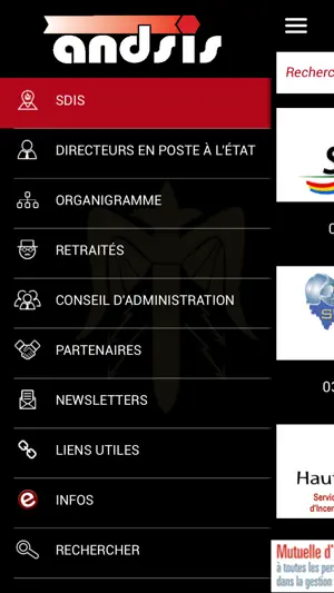 Andsis screenshot 3