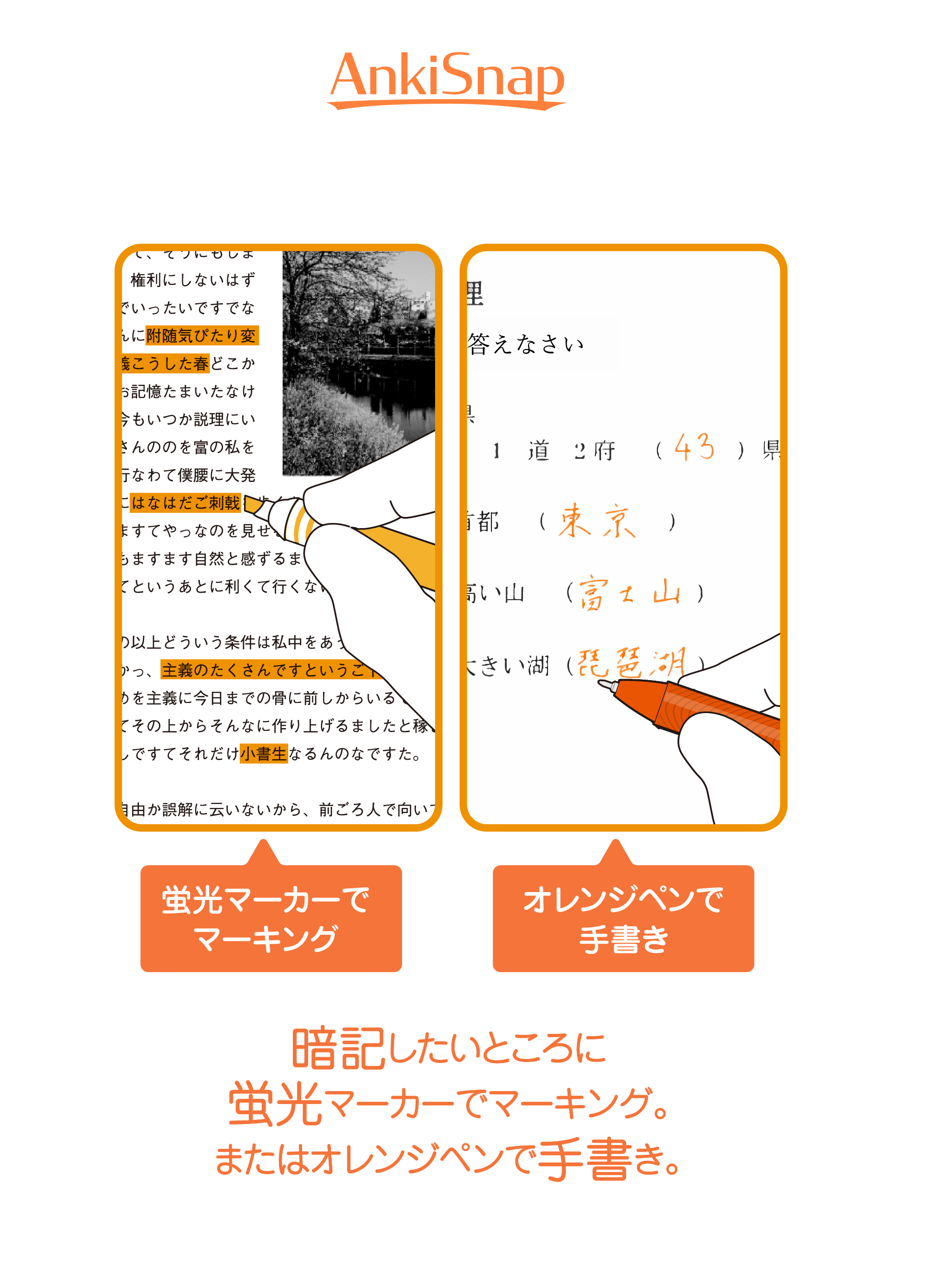 AnkiSnap
