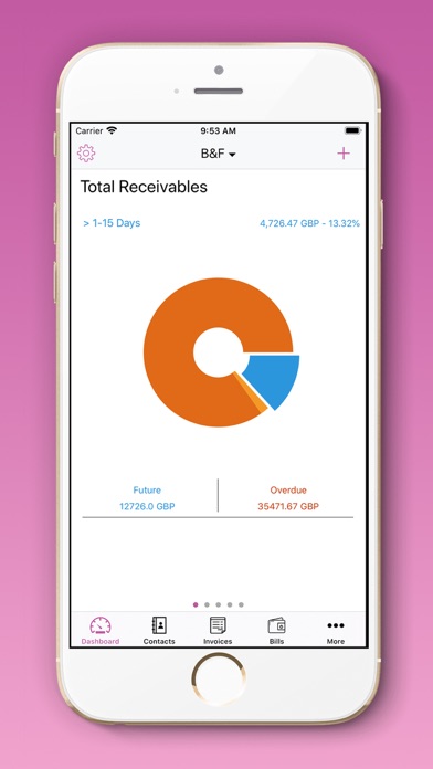 Screenshot #1 pour Smarty Accounting