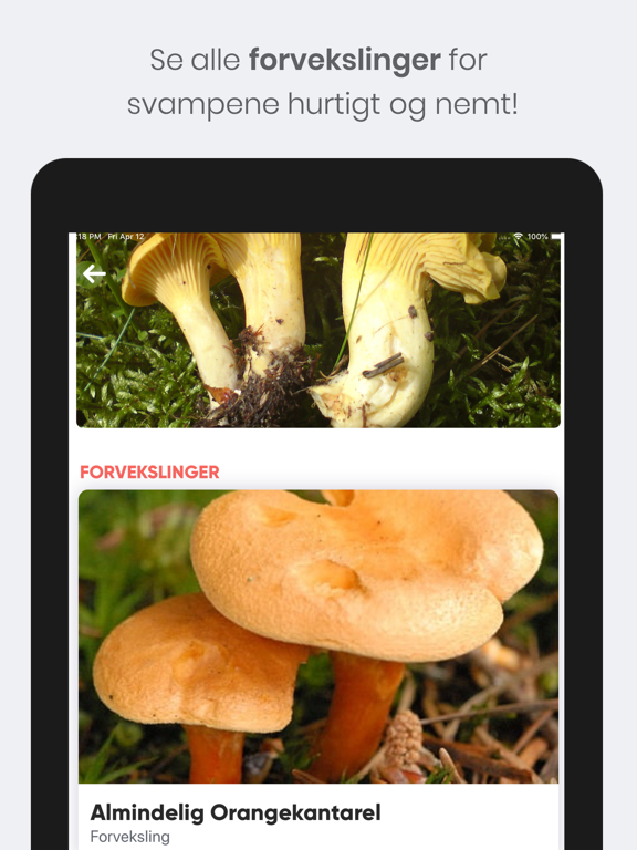 Shroomi - Danske Svampe App Store preview screenshot 14