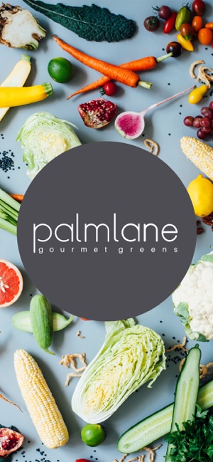 Palm Lane(圖1)-速報App