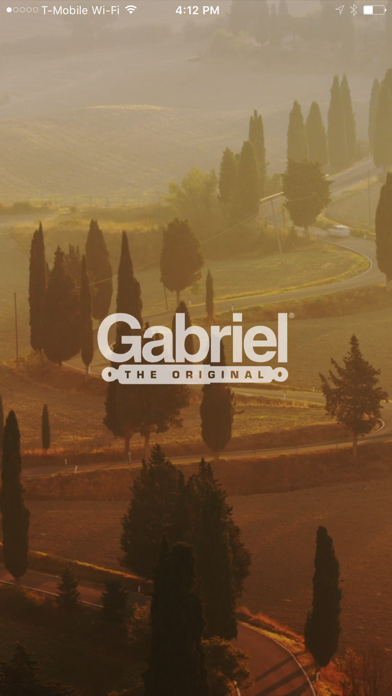 Screenshot #1 pour Gabriel Shock Test