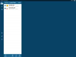 ITransfer Pro iPad image 3