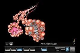 Game screenshot Respiration ID hack