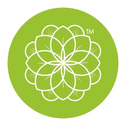 Флора Дизайн - цветы и шары