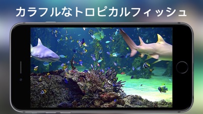 アクアリウムHD + のスクリーンショット