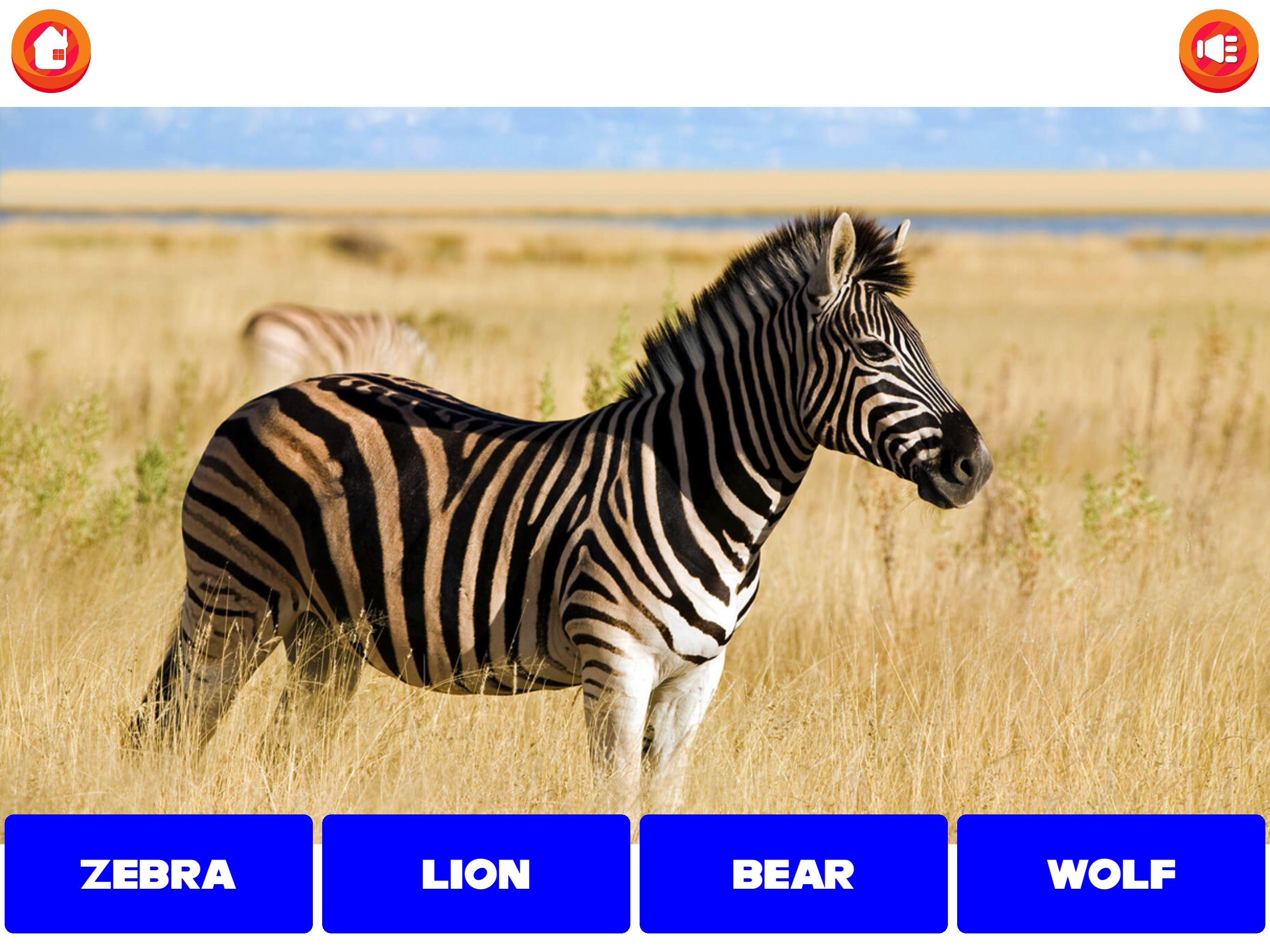 English learning with KoKo screenshot 11