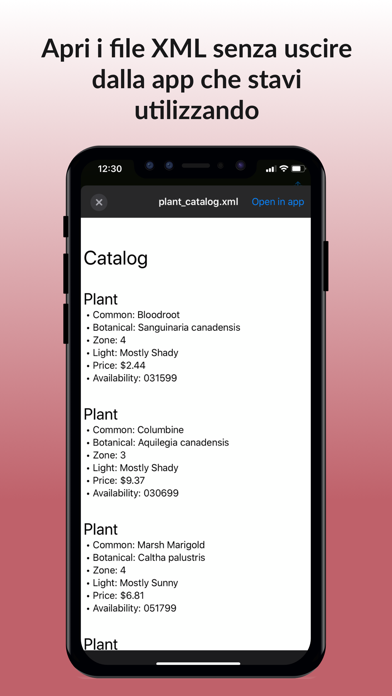 XML Viewer e convertitore PDF screenshot 2