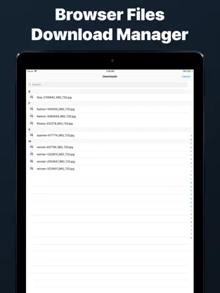 Imágen 6 Navegador privado y incognito iphone
