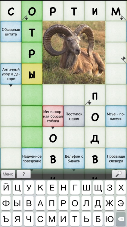 Сканворды №1