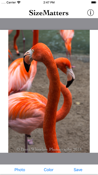 Screenshot #2 pour SizeMatters - No Crop Resizing