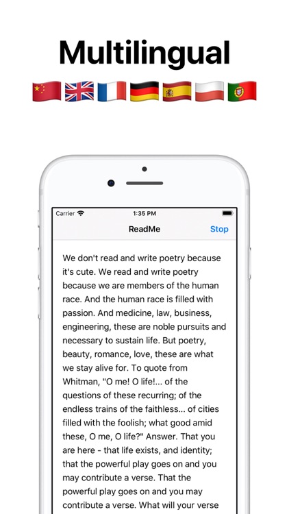 Text to speech reader