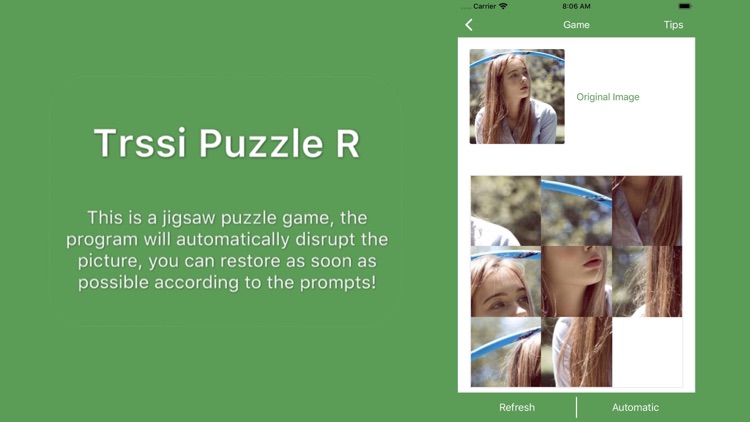 Trssi Puzzle R