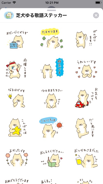 芝犬くんのゆる敬語