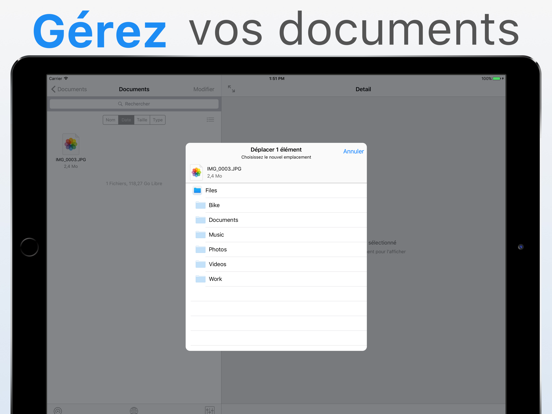 Screenshot #5 pour File Manager - Stockage mobile