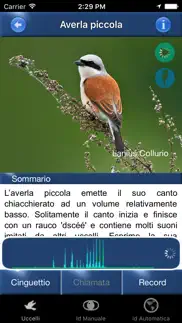 canzoni d'uccelli problems & solutions and troubleshooting guide - 4