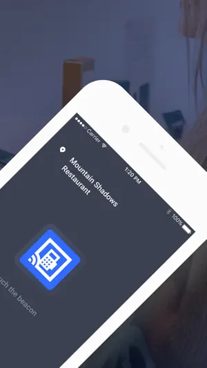 OpenTerminalSub screenshot 2