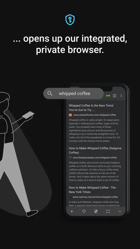 DS Defender VPN