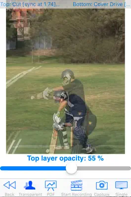 Game screenshot Cricket Coach Plus HD apk