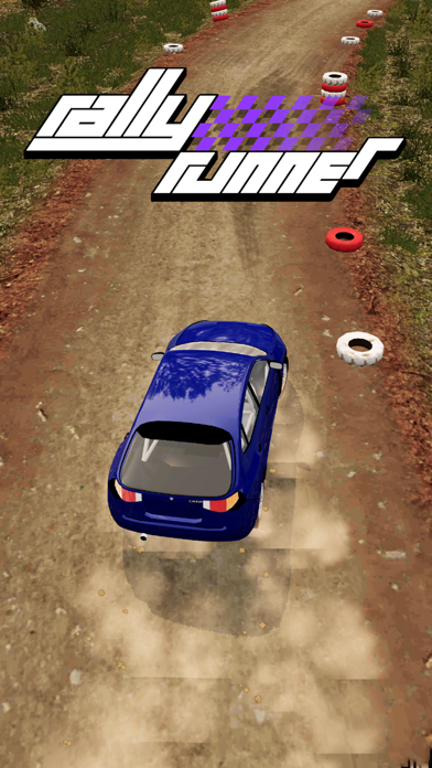 Rally Runner screenshot1