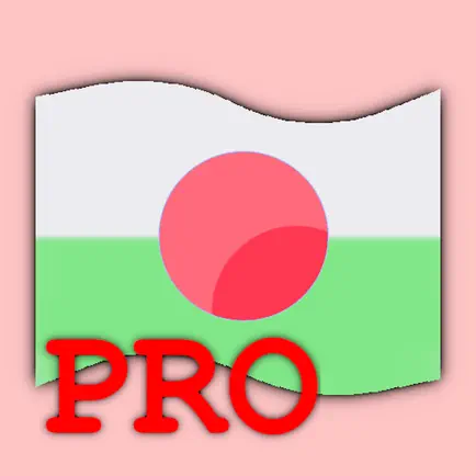 Флаги мира Pro Читы
