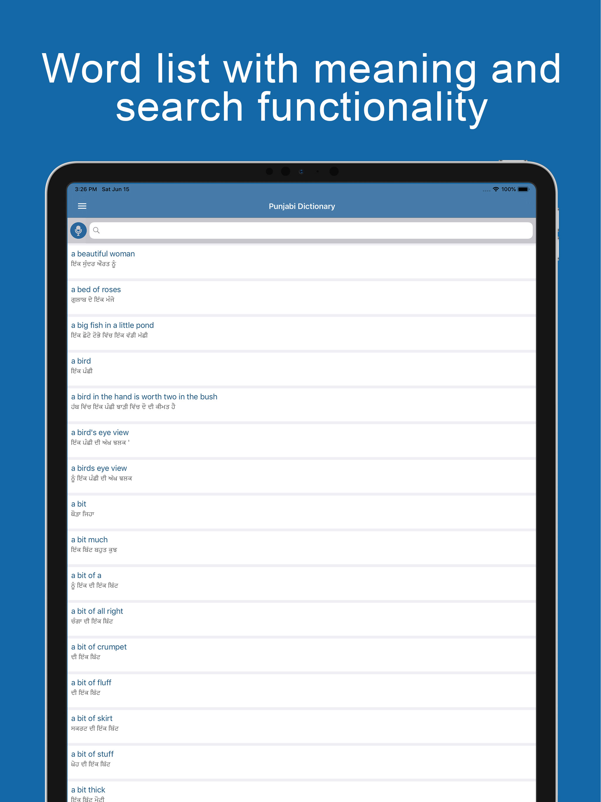 Punjabi Dictionary &Translator screenshot 7