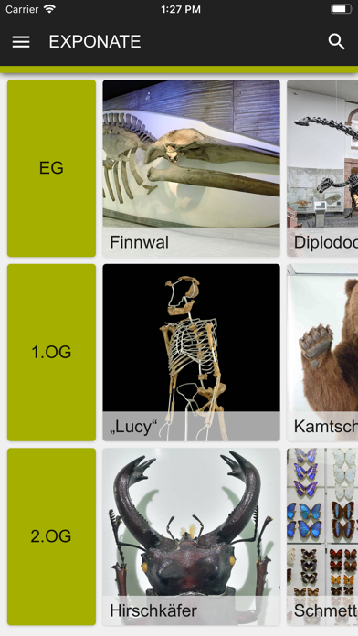 Senckenberg Naturmuseum Screenshot