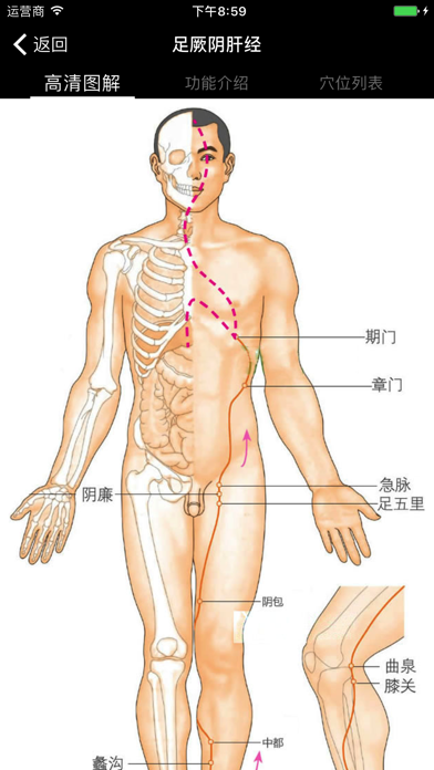 穴位经脉详解-养生保健针灸最佳参考手册のおすすめ画像3