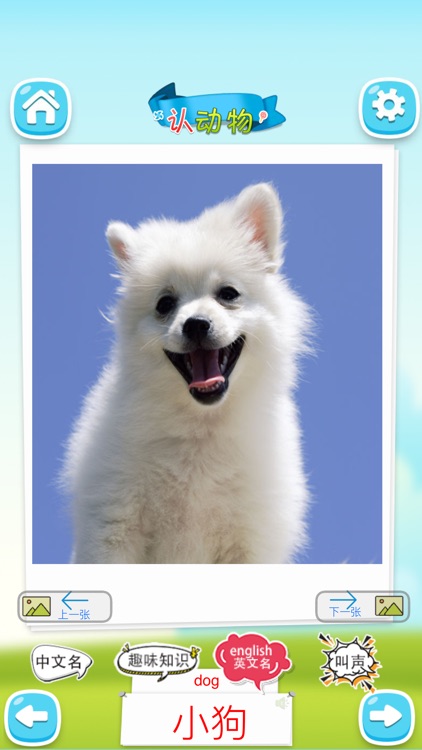 认动物 -看图识字学说话