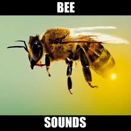 Annoying Bee Sounds! Читы