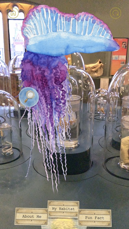 Nightmares in a Bell Jar