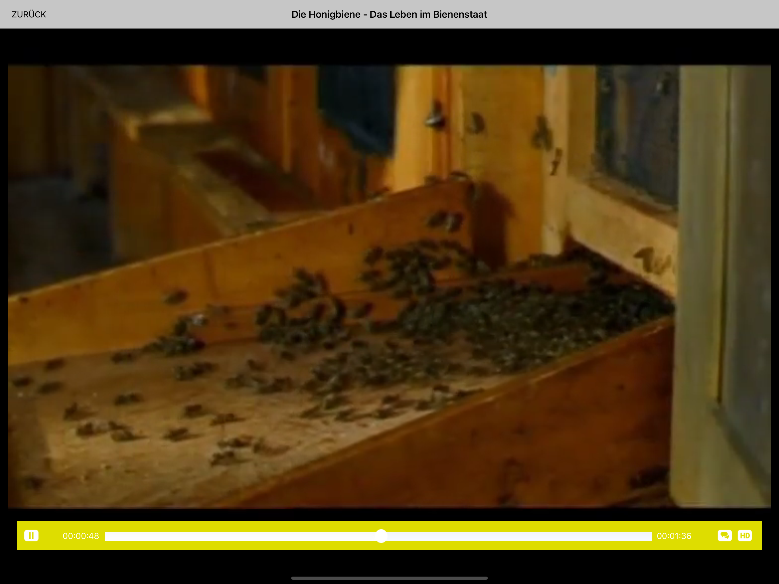 ed:on screenshot 7
