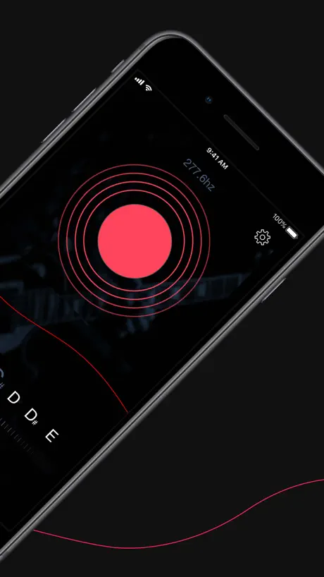 Bass Tuner by Roadie