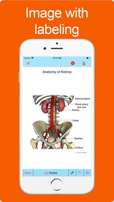 Screenshot #2 pour Silodal - Atlas of Nephrology
