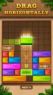 wooden blast - block puzzle iphone screenshot 3